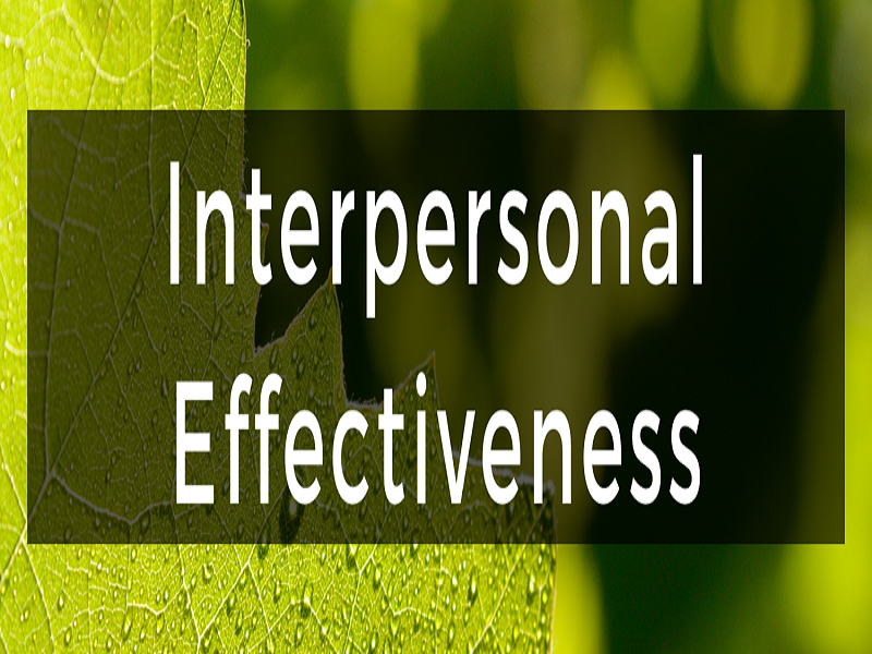 interpersonal effectiveness