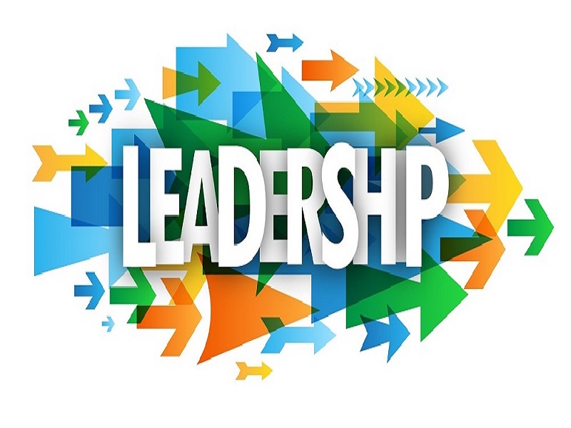 leadership and adaptive strategies