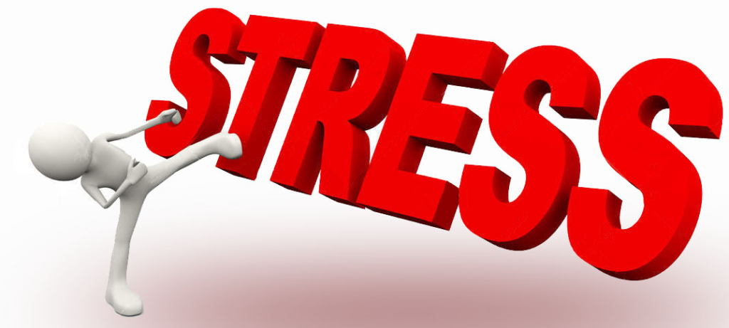 NEBOSH HSE Managing Stress at Work [Level 4] – Autorita Resources